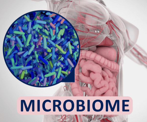 Gut bacteria microbiome microscopic illustration
