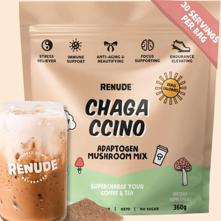 Renude Chagaccino Adaptogen Mushroom Mix (30 servings)