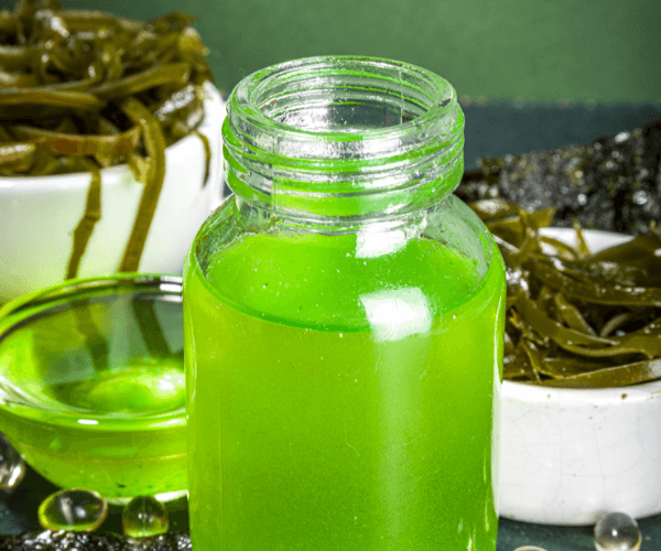 Algae based oil