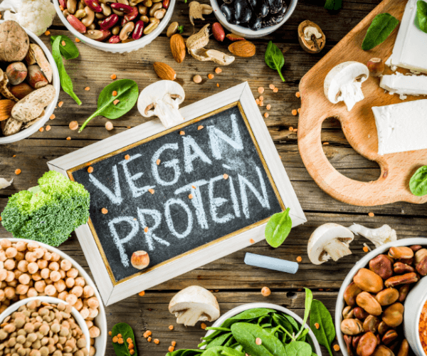 Plant-based protein sources