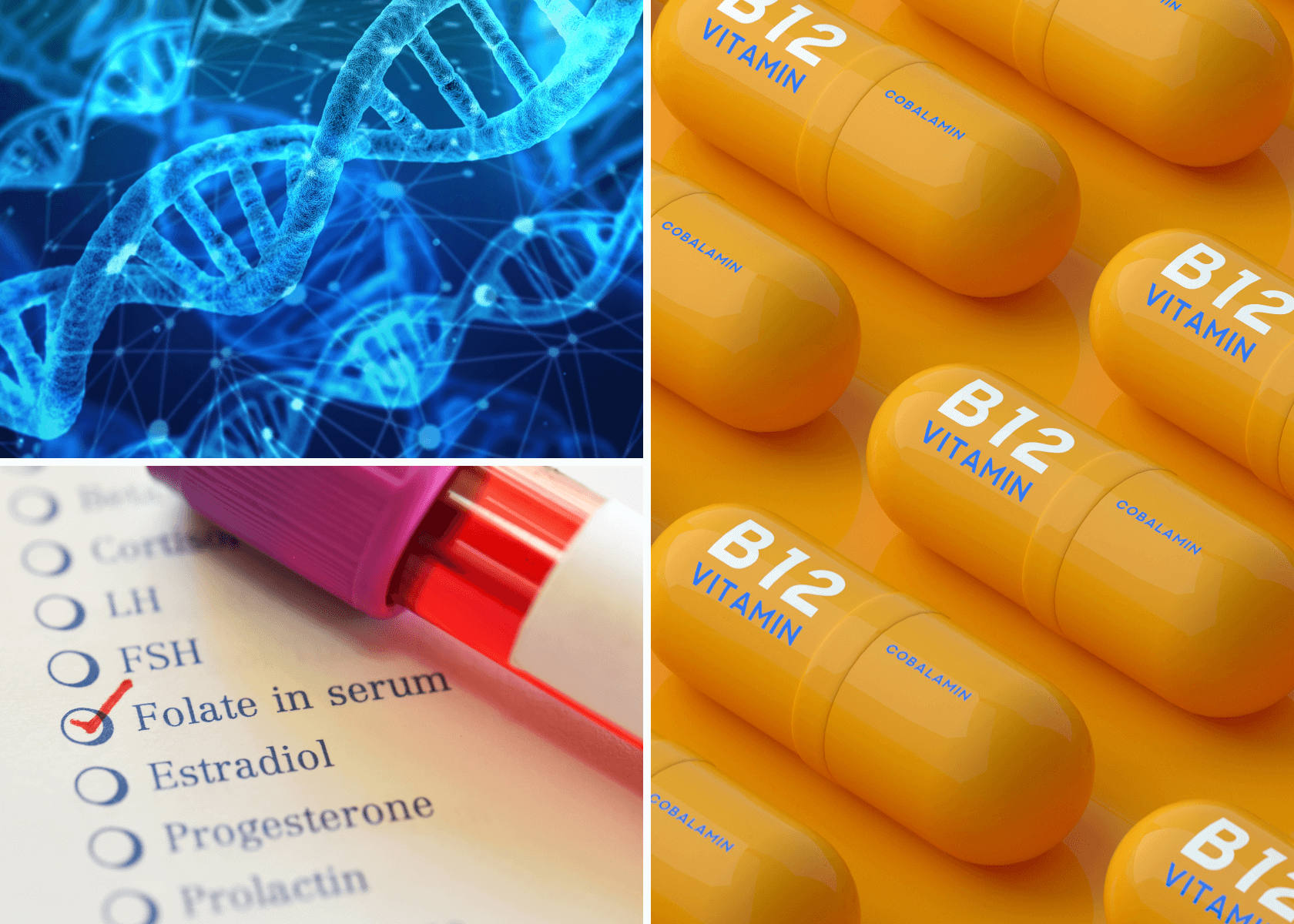 The Power Duo Methylated B12 And Folate Supplements For Enhanced Well   Methylated B12 And Folate Feature Image 1 