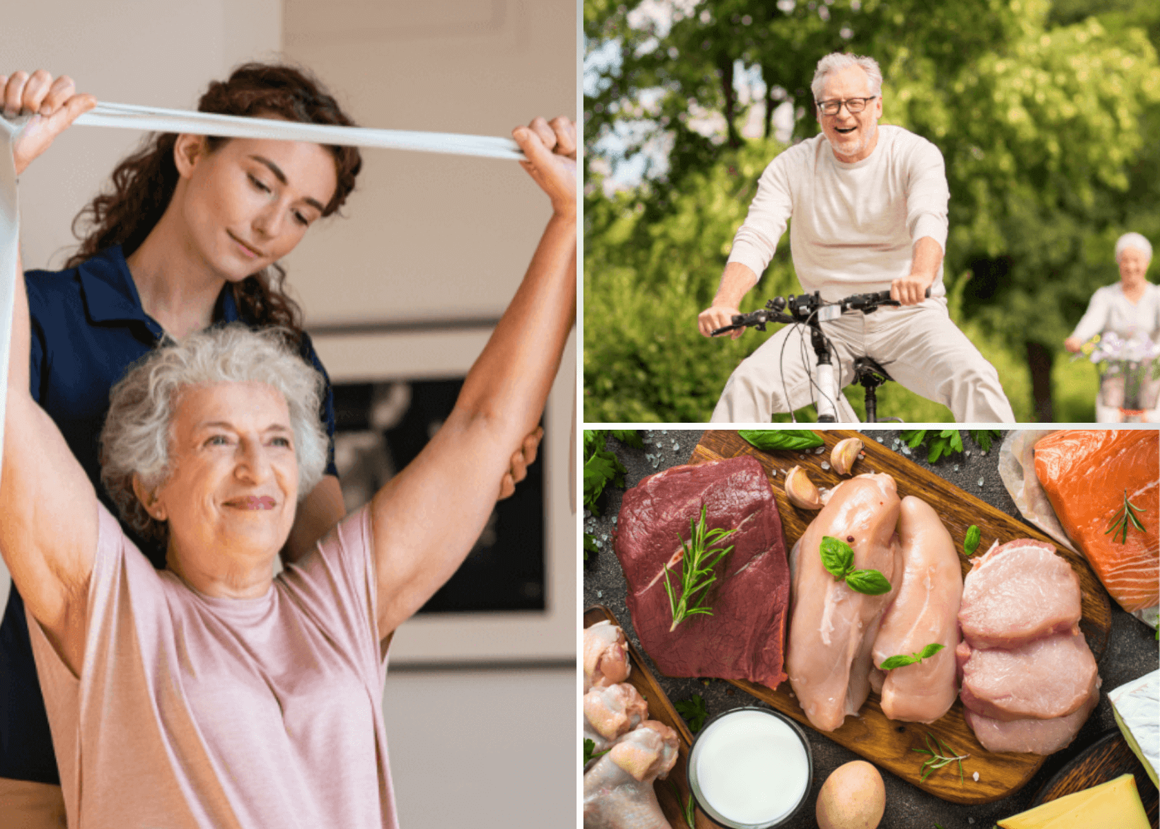 Protein requirements for seniors