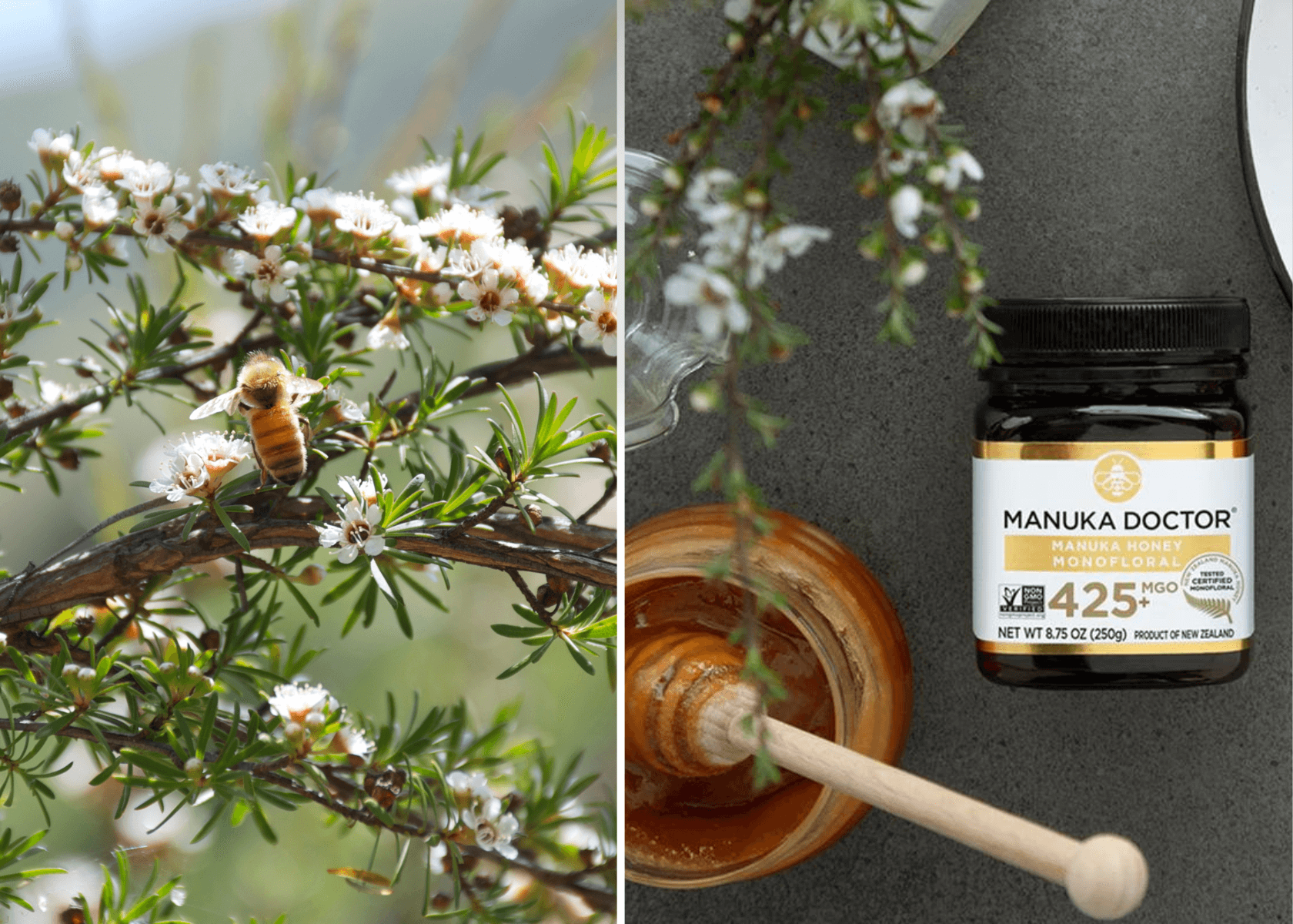 Manuka Doctor Honey