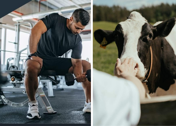 The Power of Colostrum Supplements and What They Can Do For You!