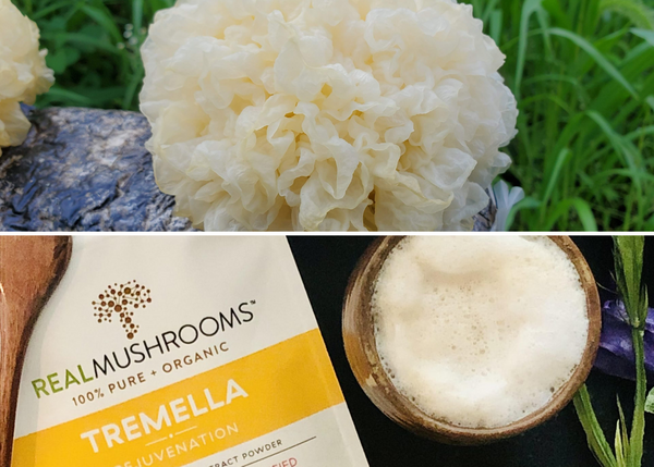 Get Ready to Level Up Your Health with Real Mushrooms' Organic Tremella Mushroom Review