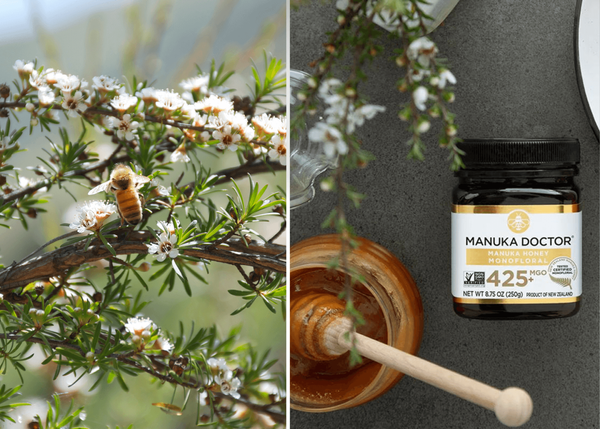 Manuka Doctor Honey Reviews: The Ultimate Guide to This Monofloral Wonder!