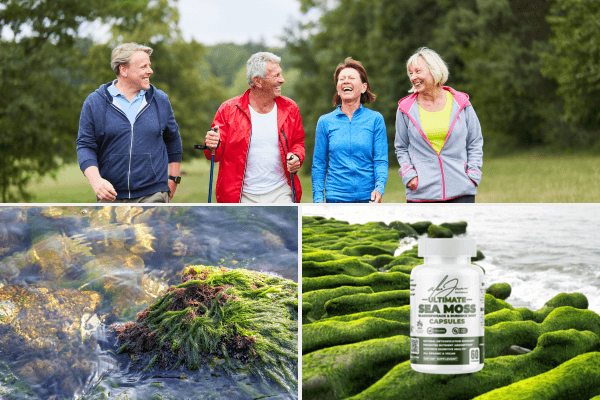 Sea Moss Capsules Benefits: Why Everyone's Talking About Them!